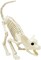 Cat Halloween Skeleton Decoration, Animal Skeleton with Posable Joints for Graveyard Scene and Decoration, Skeleton Bones Prop Themed Parties, Haunted Houses